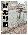 月夜响荡曲剧情